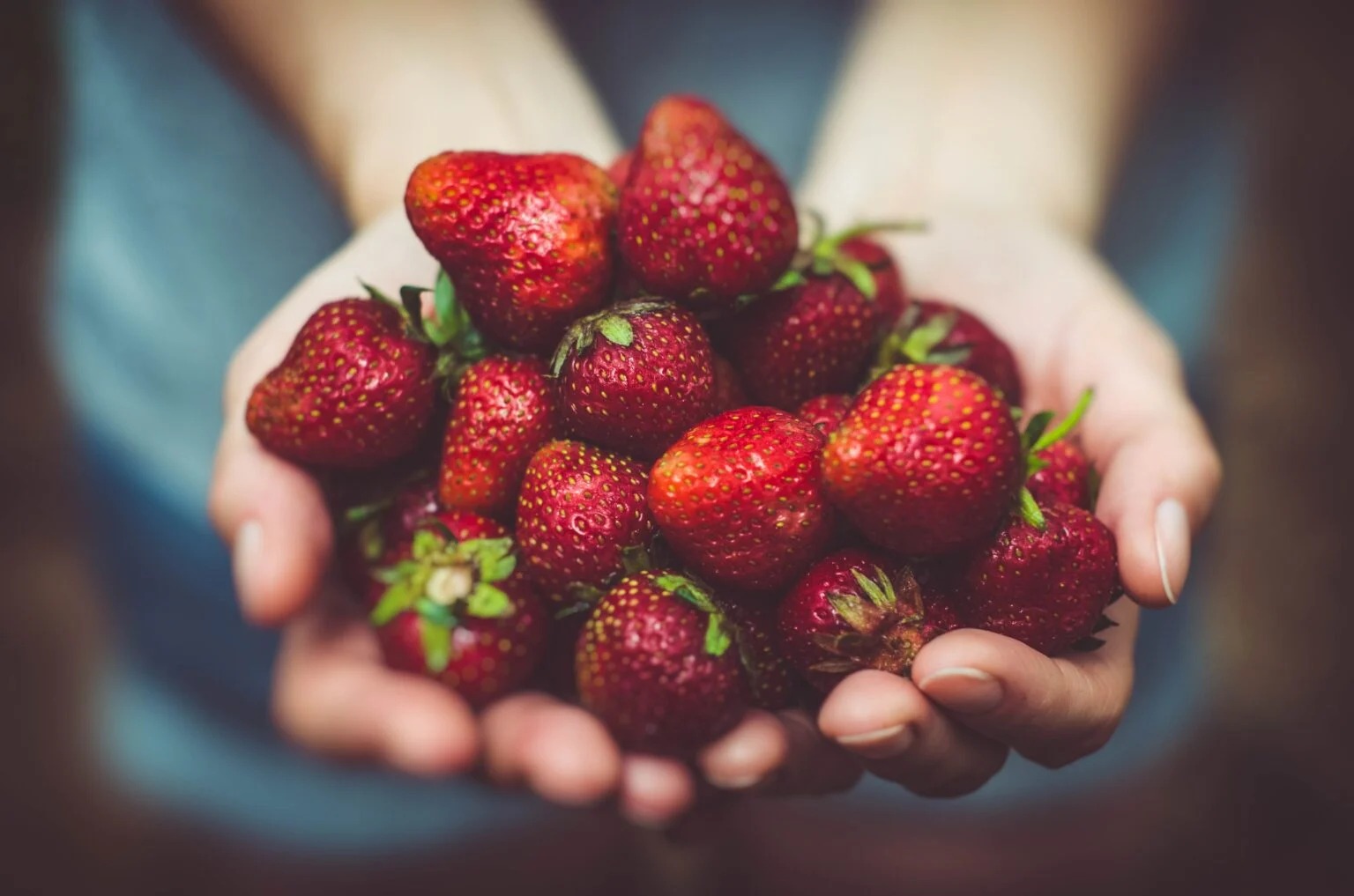 Seven Diet Tips & Tricks For Staying Healthy And Losing Weight